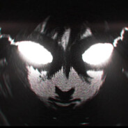 醉后不知天在水