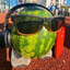 watermelon in glasses