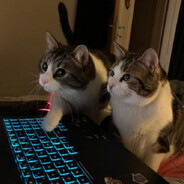 DNS