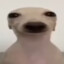 SuperYoshi