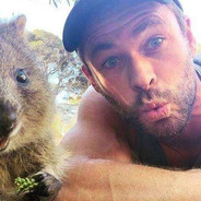 原神我日你仙人