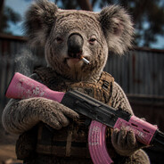 KOALA SKINS