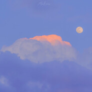 上下五千年绝世美少女