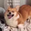 青柑普洱兑美式