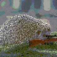 The Marksman Hedgehog