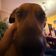 Bajersoon - steam id 76561199149242956