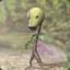 EVOLTO