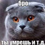 Avatar of player Xatik