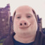 John Pork