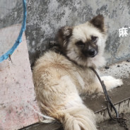 反向超光速的超光速