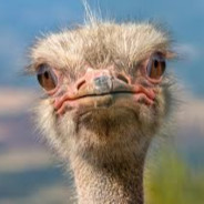 RetroOstrich