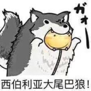 轻舟已撞大冰山