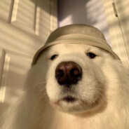 doggo - steam id 76561199002847016