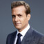 Harvey Specter