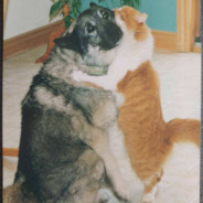 穷凶极恶的石榴杀手