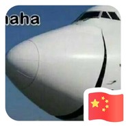 国内顶级自由OB人