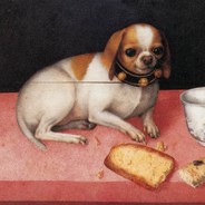 chubbydogeatingbread