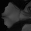 JohA-