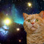 SPACECAT