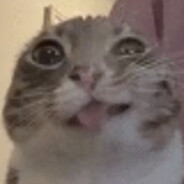 piss cat