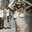 Windowlicker
