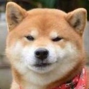 你板命的样子真可爱