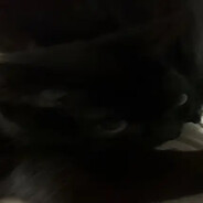 крутой юрик 3000 та