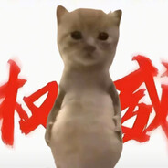 你的悍匪小宝贝