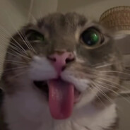 российский скот