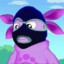 zercoo