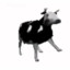 Polish cow