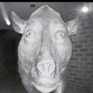 INVENTOR OF BENADRYL® (ZORG!)