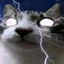 Avatar of sunshinezxc