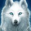 White_Wolf