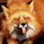 Foxen