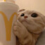 Mcpaws