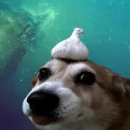 ༼ つ ◕_◕ ༽つ