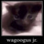wagoogus jr.