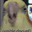 Its_Deus