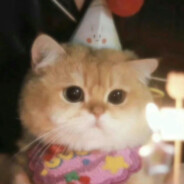 今天也在努力大杀四方