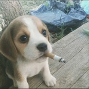 她说人多以为有我