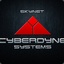 Cyberdine Systems