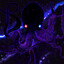 The Divine Octopus