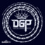 欢迎来到DGP