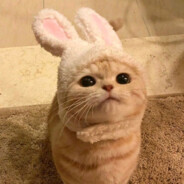 Pankeke de fresa🍓