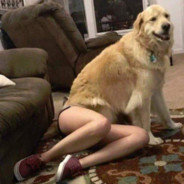 Кукурузный пудин