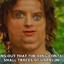 Frodo Baggins