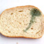 Slightly Moldy Slice of Bread