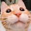 =AideN=