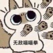无敌猫猫拳